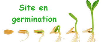Site en germination